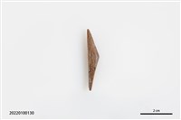 藏品(魚卡子)的圖片
